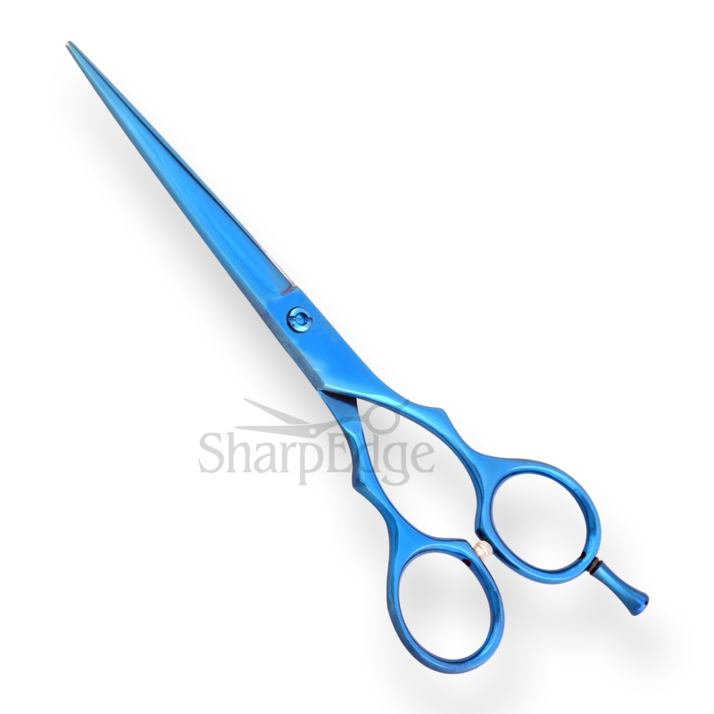 Professional Hair Dressing Scissors 